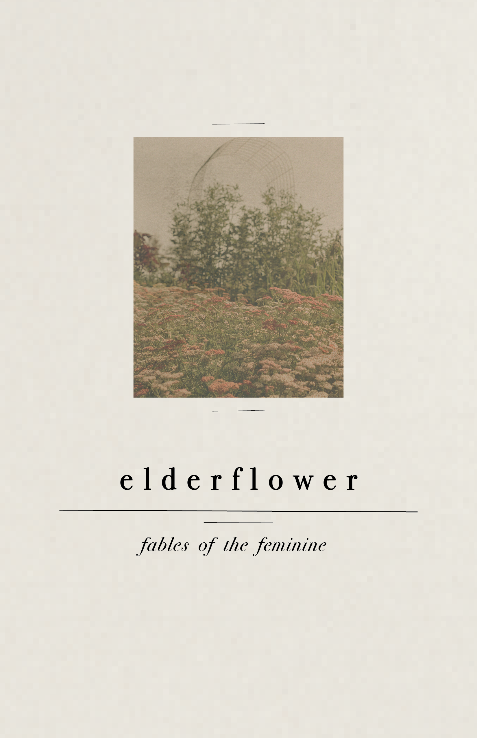 elderflower